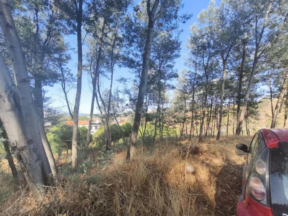 Terreno para Venda em Silvares Foto 9