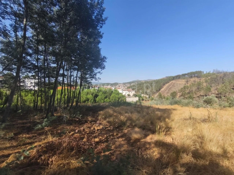 Terreno para Venda em Silvares Foto 6