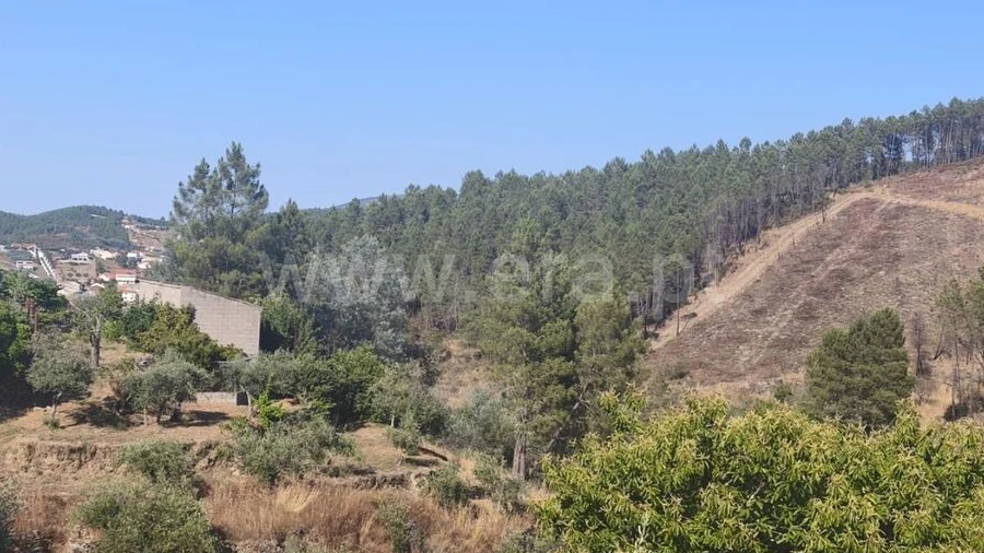 Terreno para Venda em Silvares
