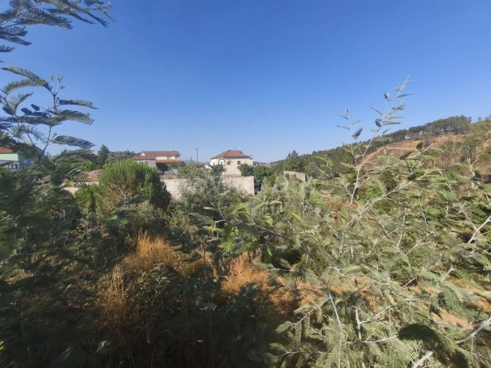 Terreno para Venda em Silvares Foto 2