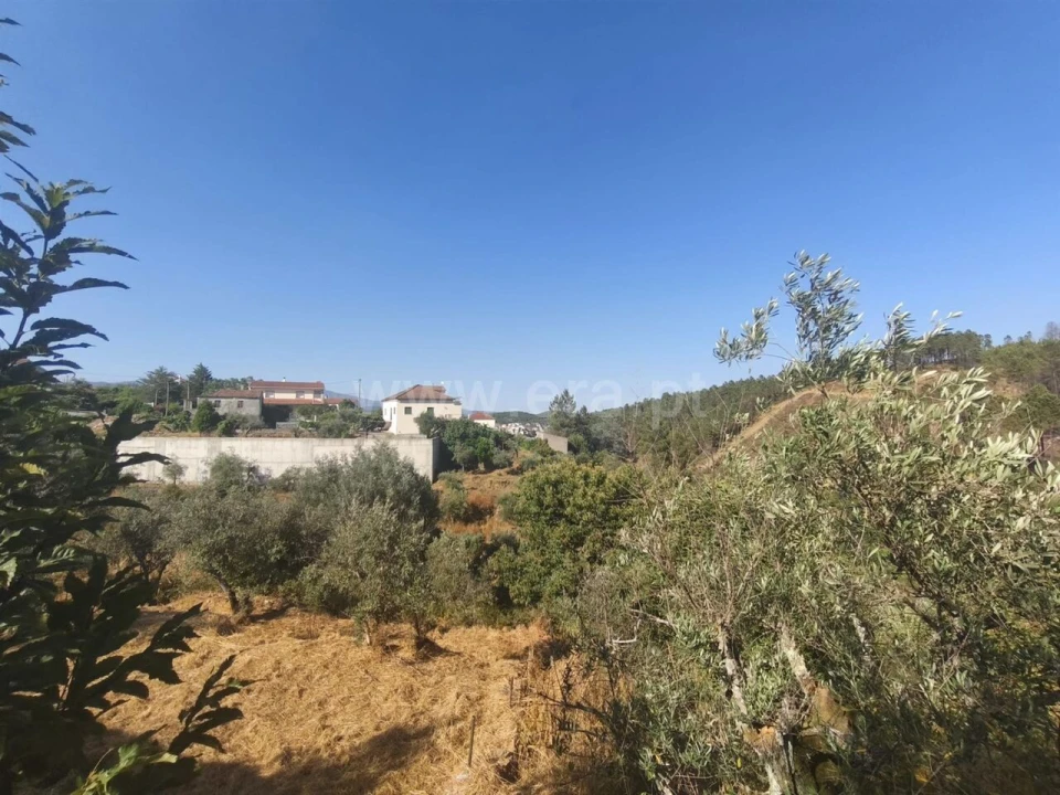 Terreno para Venda em Silvares Foto 4