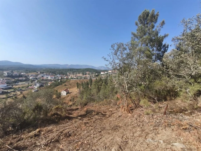 Terreno para Venda em Silvares Foto 3