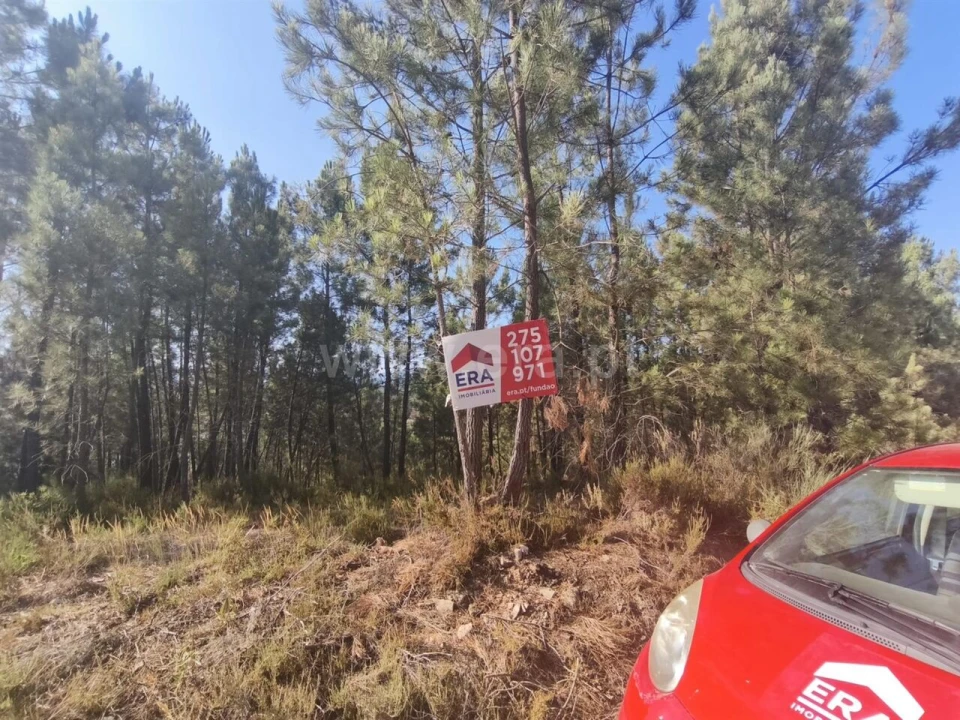 Terreno para Venda em Silvares Foto 1