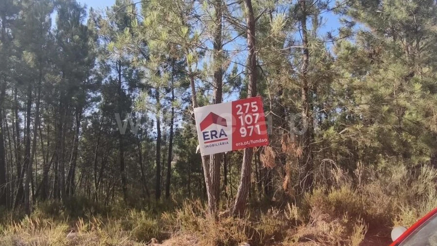 Terreno para Venda em Silvares