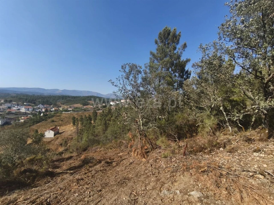 Terreno para Venda em Silvares Foto 2