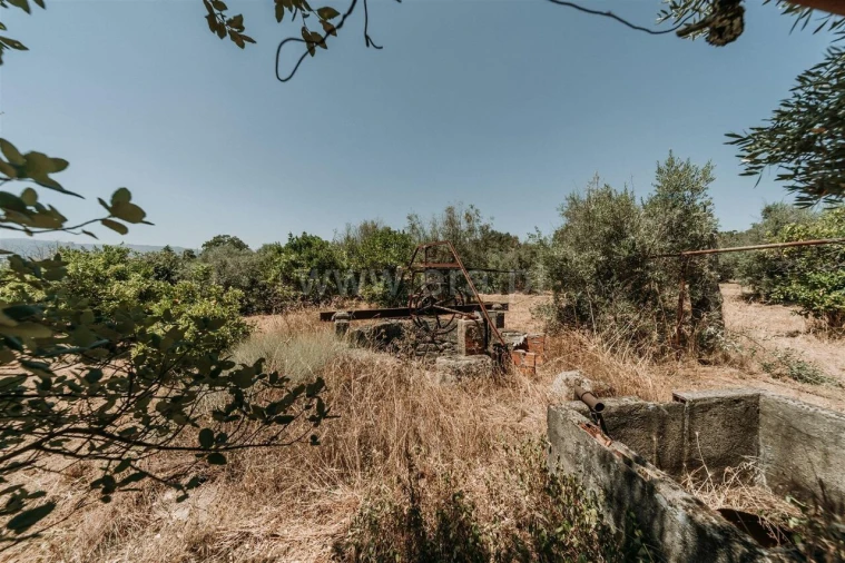 Terreno para Venda em Orca Foto 16