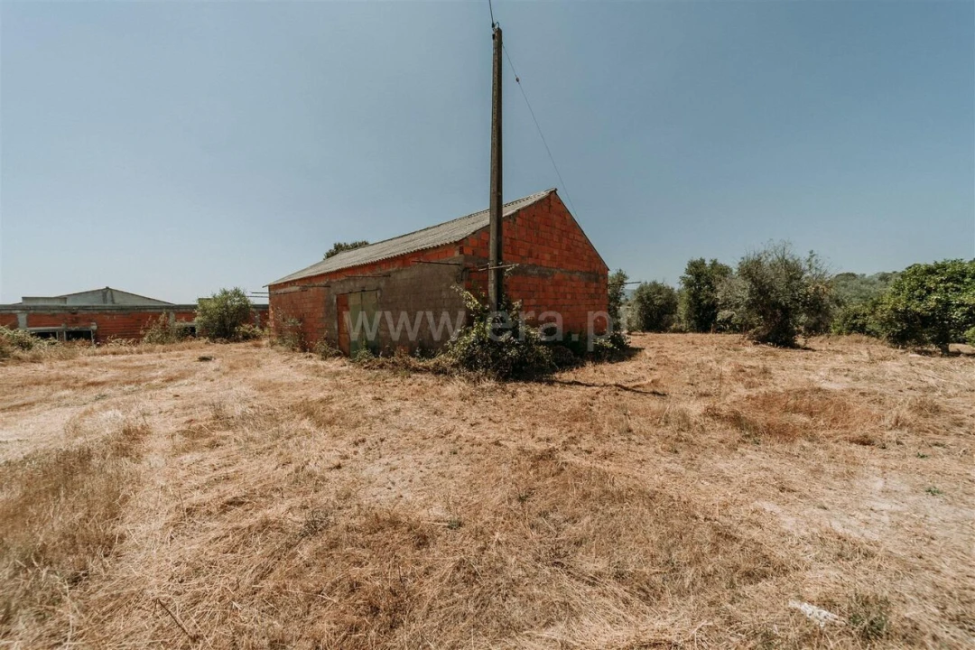 Terreno para Venda em Orca Foto 14