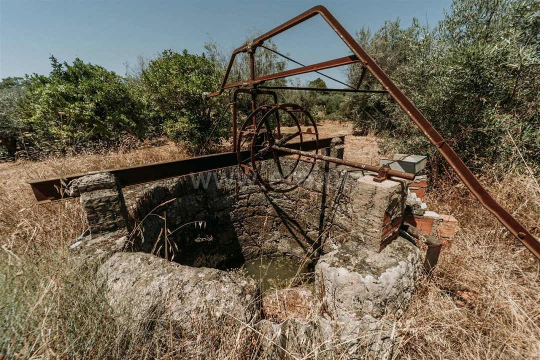 Terreno para Venda em Orca Foto 17