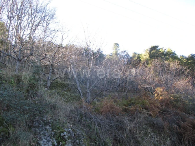 Quinta T0 para Venda em Alcongosta Foto 2