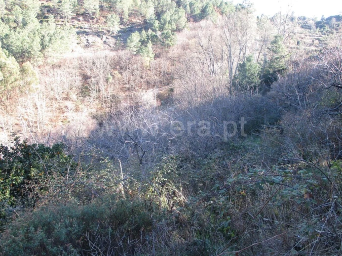 Quinta T0 para Venda em Alcongosta Foto 3