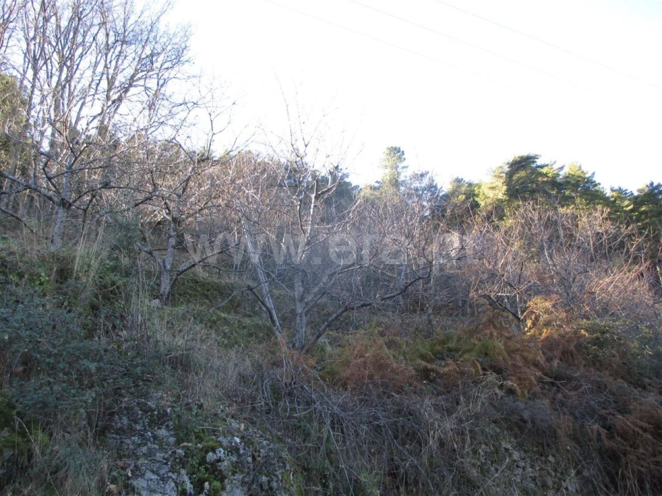 Quinta T0 para Venda em Alcongosta Foto 2