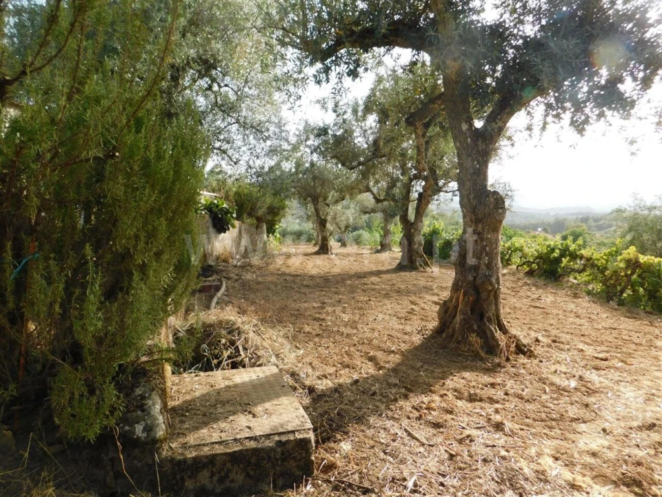 Quinta T0 para Venda em Souto da Casa Foto 13