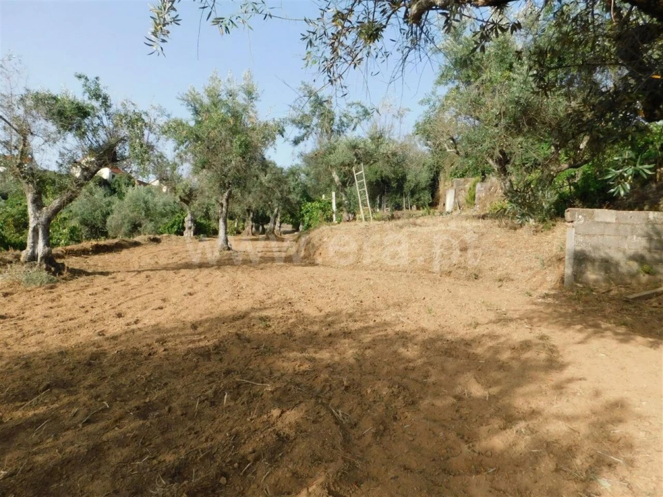 Quinta T0 para Venda em Souto da Casa Foto 4