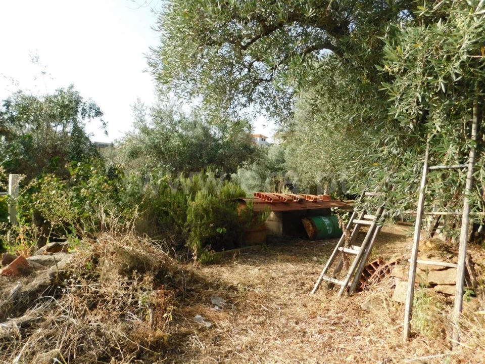 Quinta T0 para Venda em Souto da Casa Foto 7