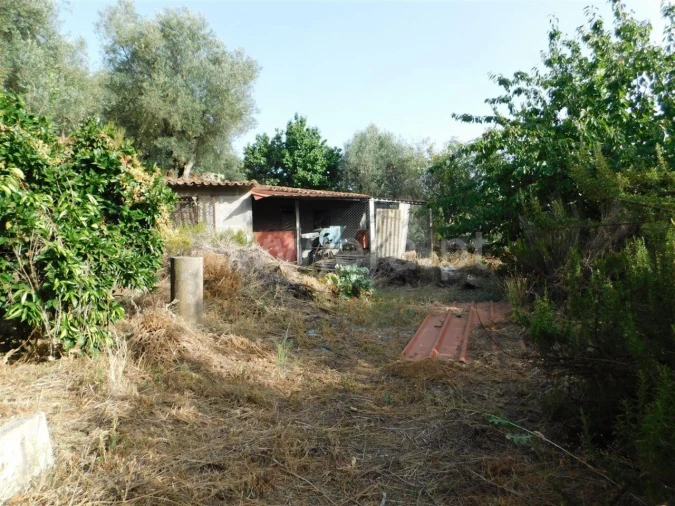 Quinta T0 para Venda em Souto da Casa Foto 8