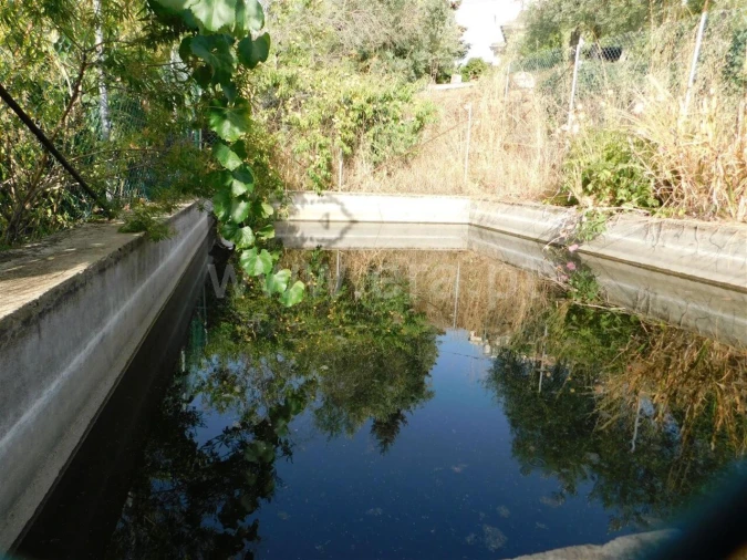 Quinta T0 para Venda em Souto da Casa Foto 17