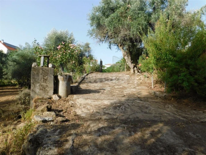 Quinta T0 para Venda em Souto da Casa Foto 16