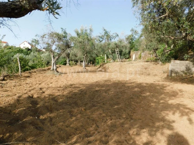 Quinta T0 para Venda em Souto da Casa Foto 2