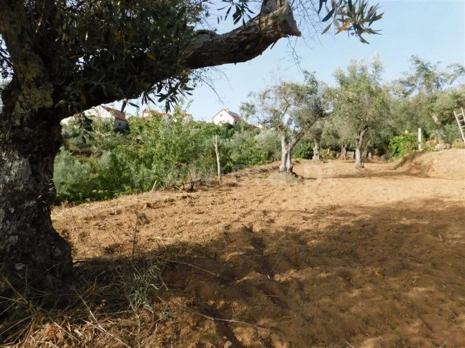 Quinta T0 para Venda em Souto da Casa Foto 3