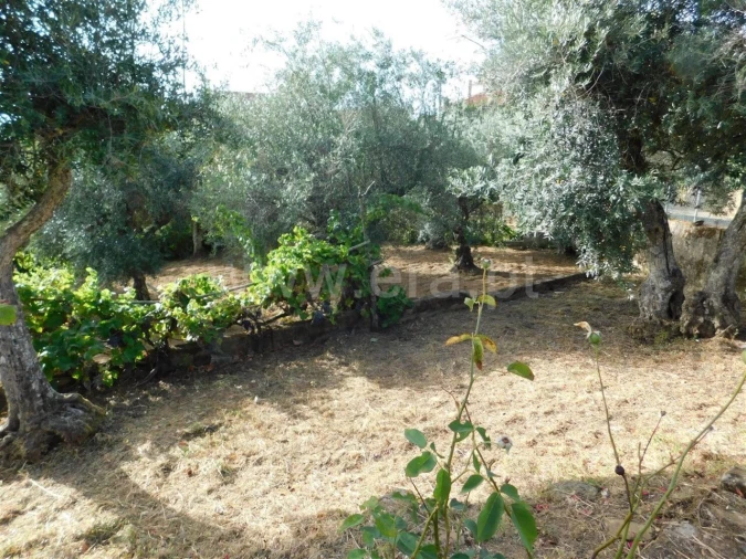 Quinta T0 para Venda em Souto da Casa Foto 20