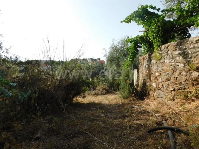 Quinta T0 para Venda em Souto da Casa Foto 9