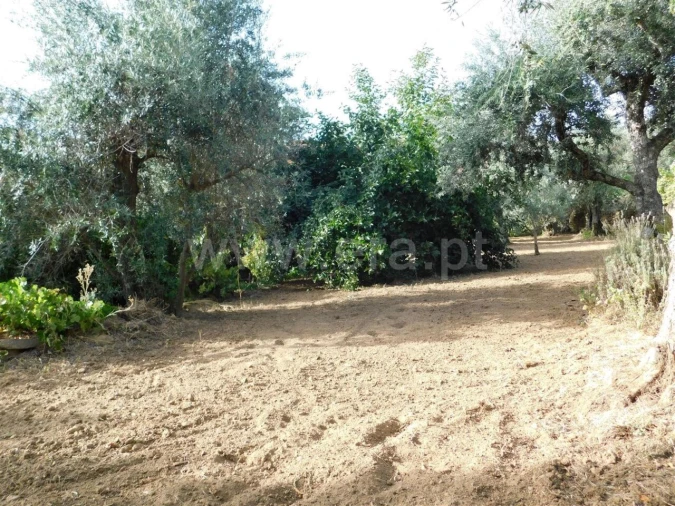 Quinta T0 para Venda em Souto da Casa Foto 15