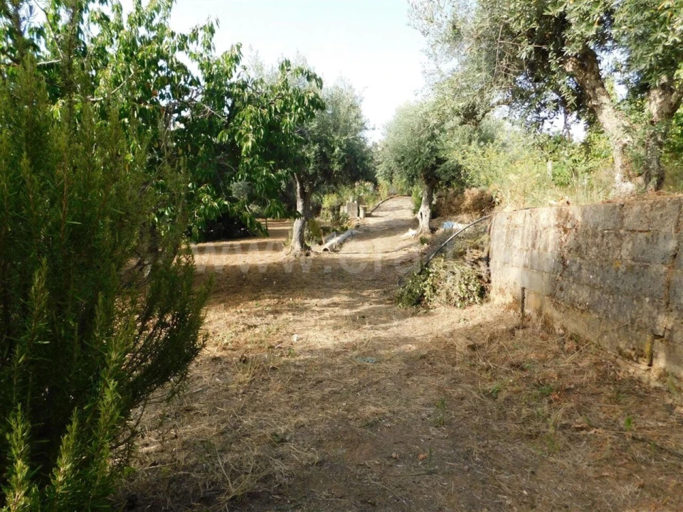 Quinta T0 para Venda em Souto da Casa Foto 11