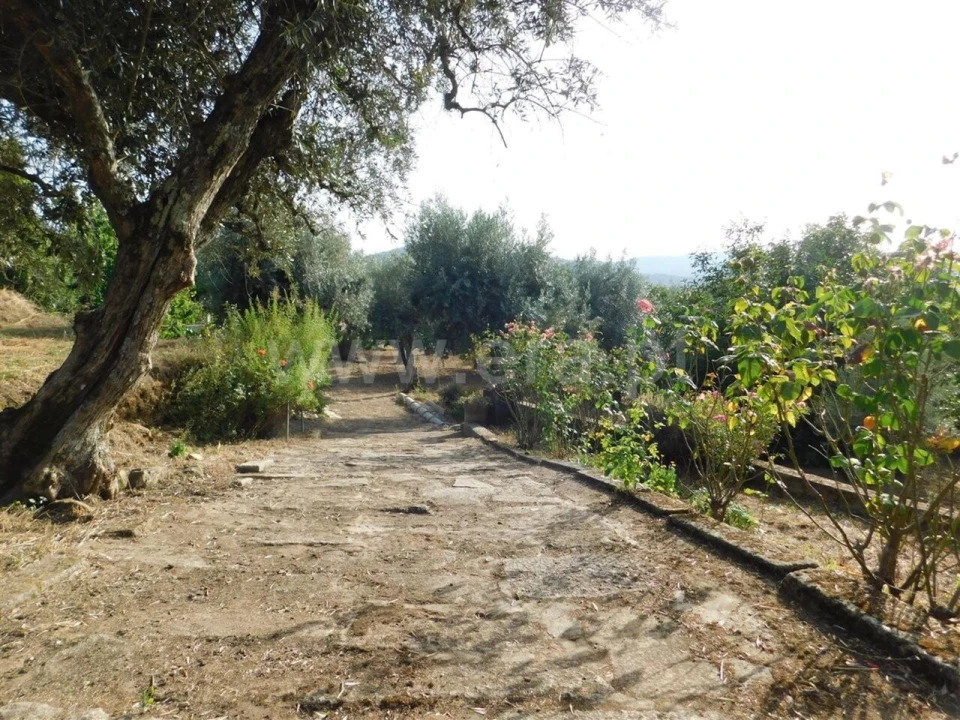 Quinta T0 para Venda em Souto da Casa Foto 19