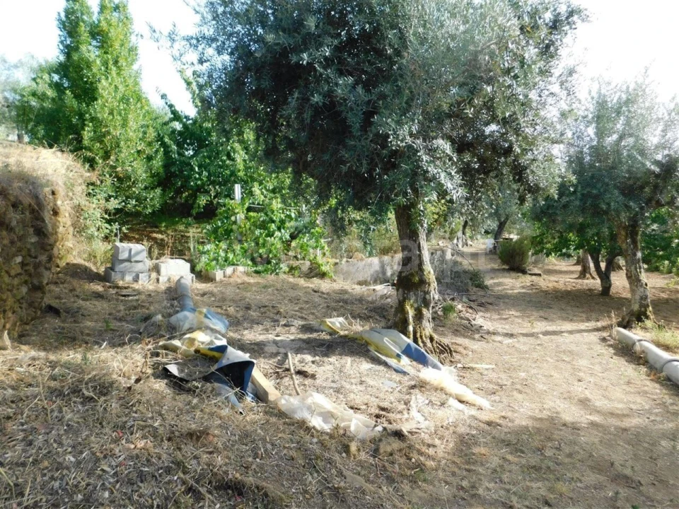 Quinta T0 para Venda em Souto da Casa Foto 18