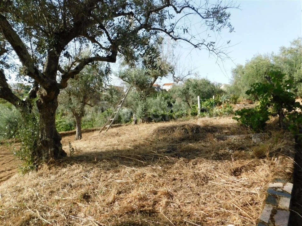 Quinta T0 para Venda em Souto da Casa Foto 5