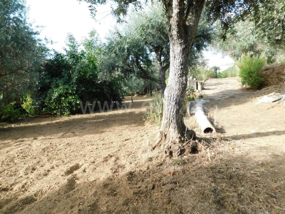 Quinta T0 para Venda em Souto da Casa Foto 14