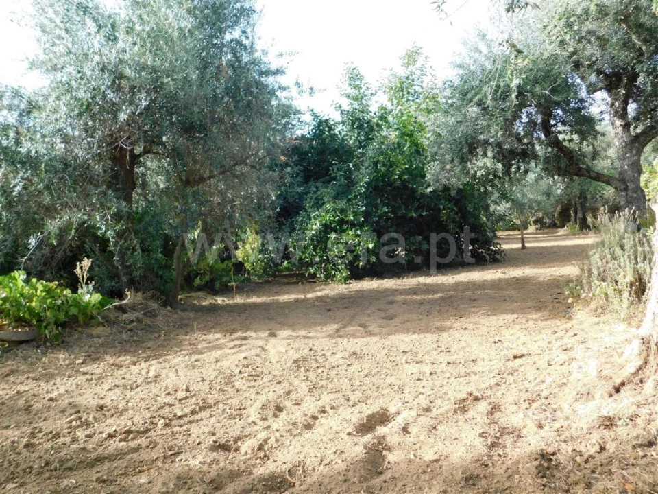 Quinta T0 para Venda em Souto da Casa Foto 15