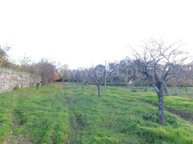 Quinta T1 para Venda em Orca Foto 8