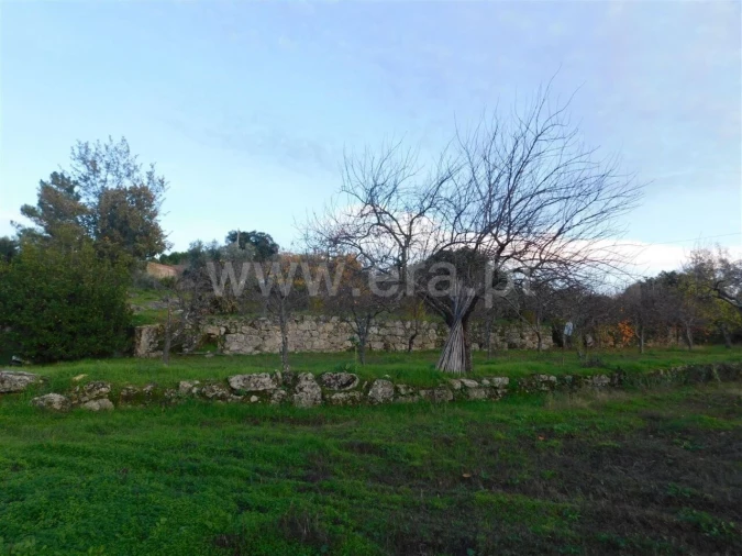 Quinta T1 para Venda em Orca Foto 17