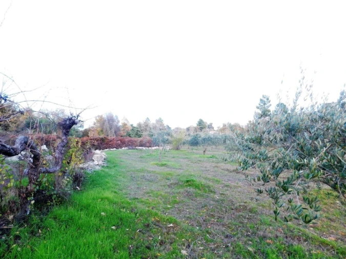 Quinta T1 para Venda em Orca Foto 14