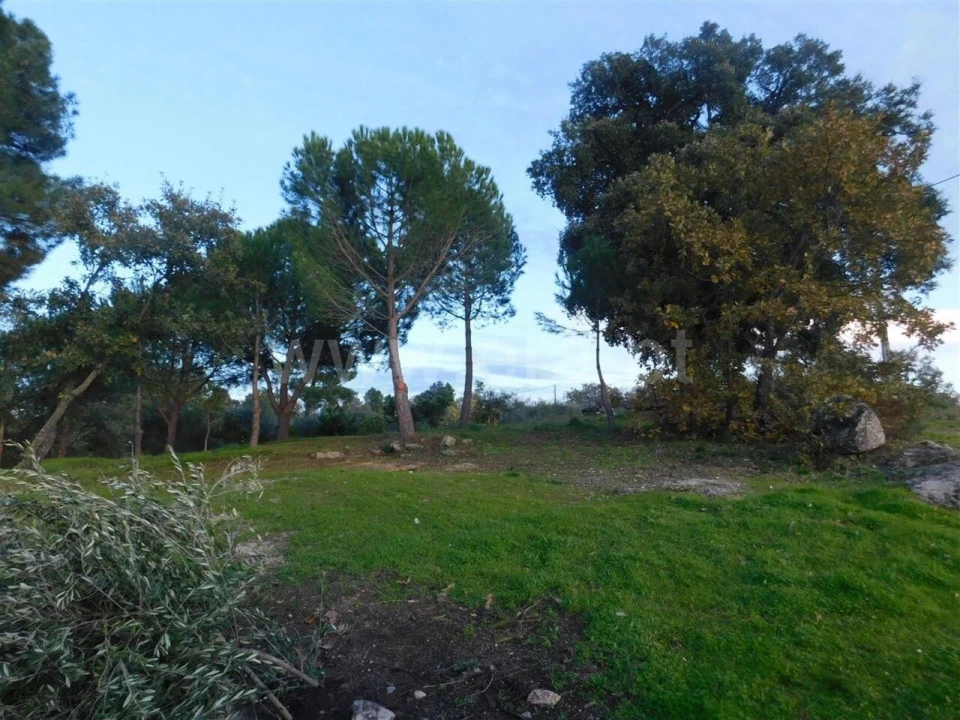 Quinta T1 para Venda em Orca Foto 18