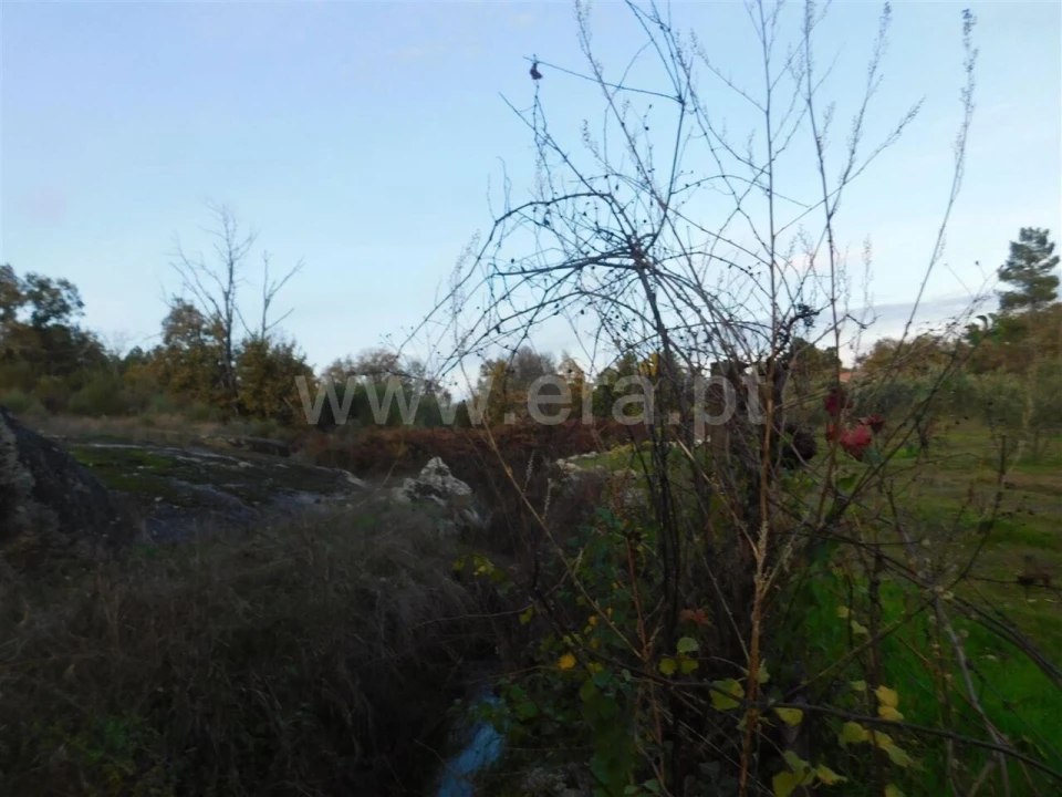 Quinta T1 para Venda em Orca Foto 13