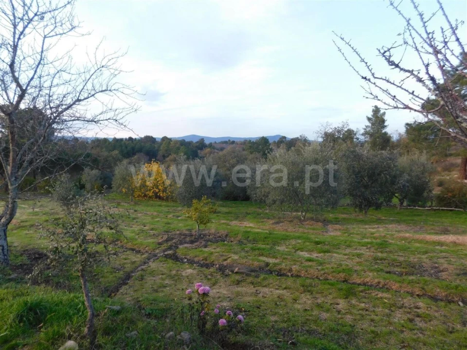 Quinta T1 para Venda em Orca Foto 19