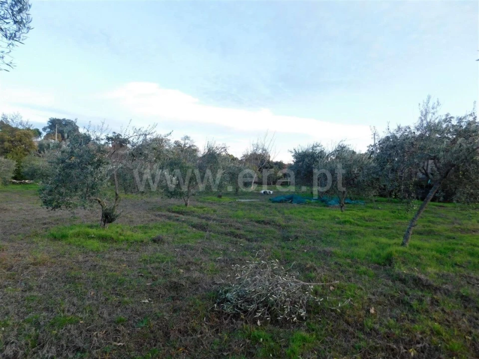 Quinta T1 para Venda em Orca Foto 16