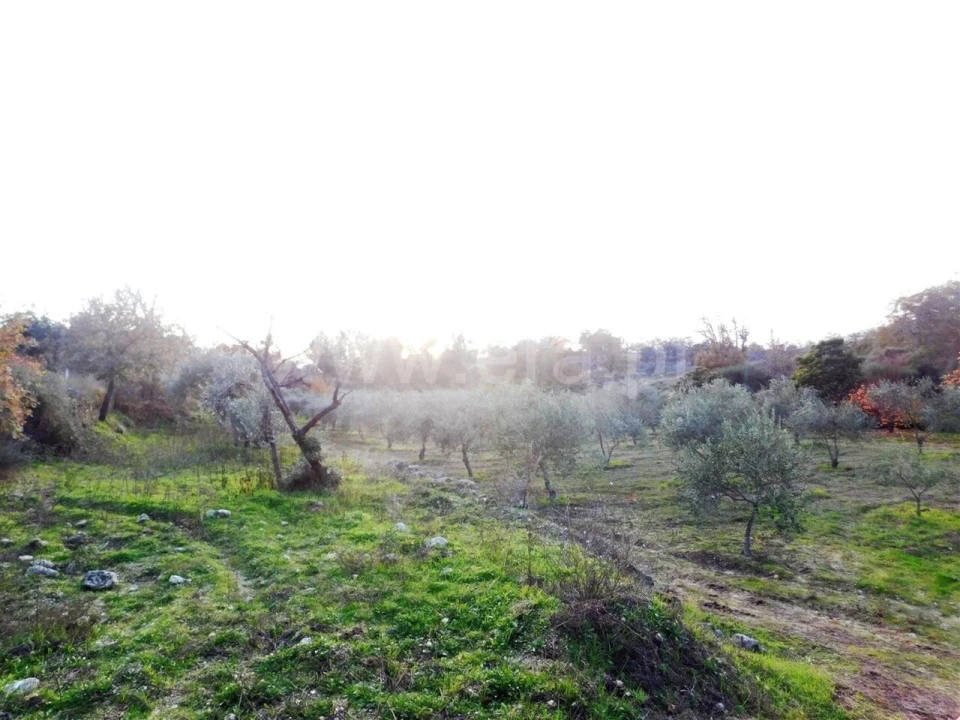 Quinta T1 para Venda em Orca Foto 6