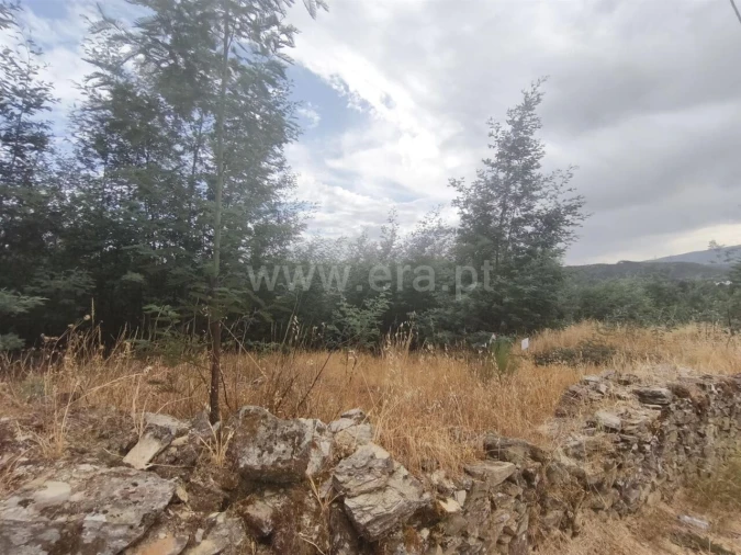 Terreno para Venda em Silvares Foto 4