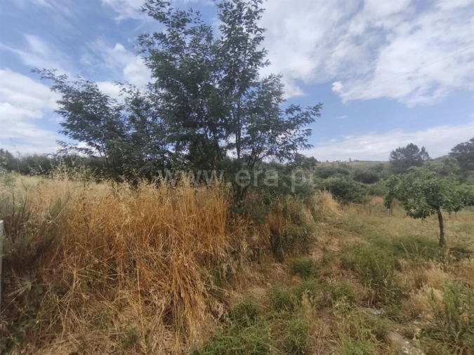 Terreno para Venda em Silvares Foto 2