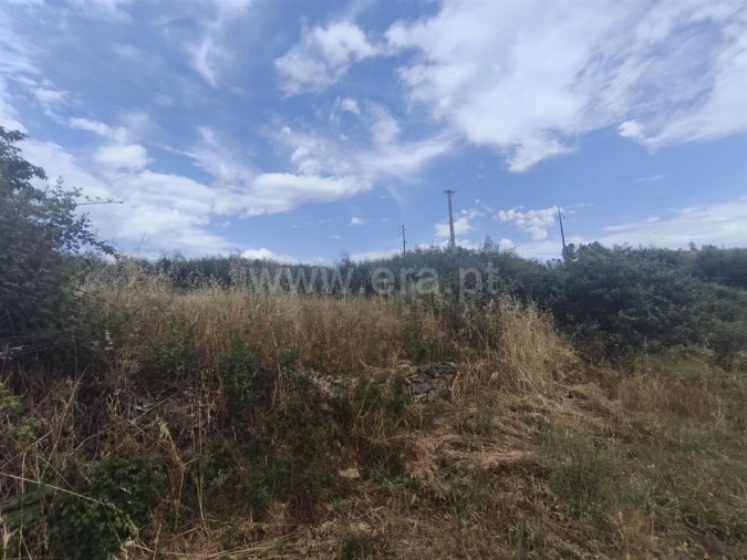 Terreno para Venda em Silvares Foto 1