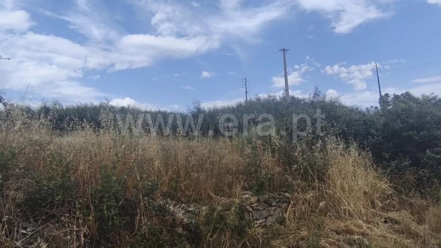 Terreno para Venda em Silvares