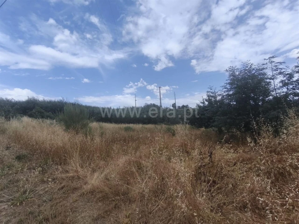 Terreno para Venda em Silvares Foto 3