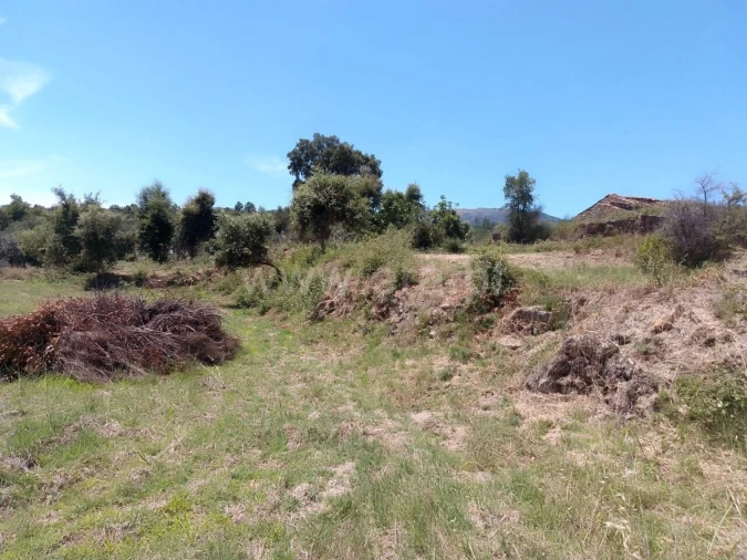 Terreno para Venda em Fundão, Valverde, Donas, A. Joanes, A. Nova Cabo Foto 6