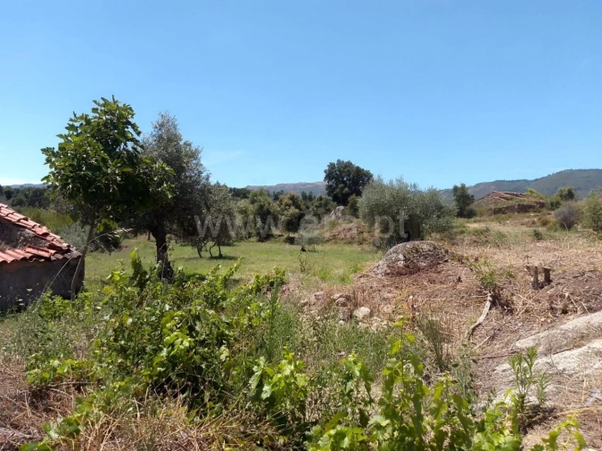 Terreno para Venda em Fundão, Valverde, Donas, A. Joanes, A. Nova Cabo Foto 8