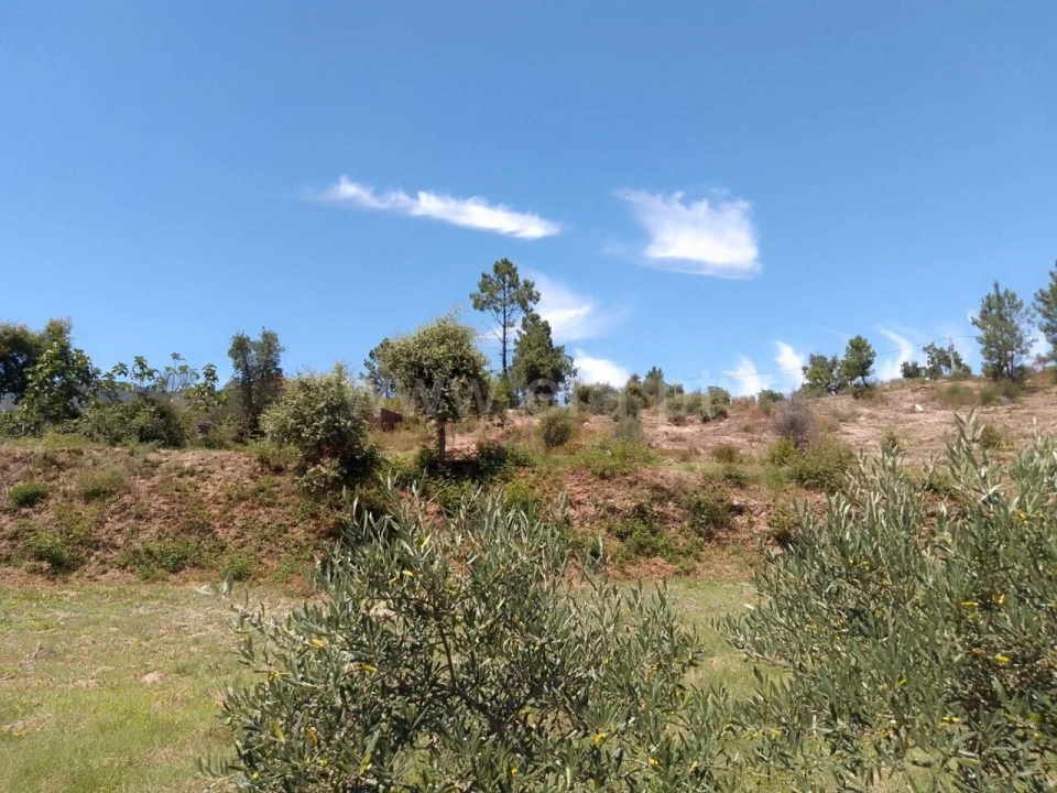 Terreno para Venda em Fundão, Valverde, Donas, A. Joanes, A. Nova Cabo Foto 5