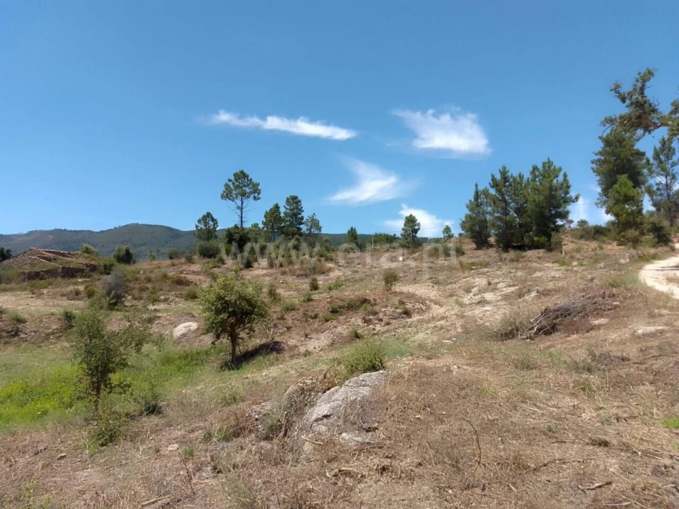 Terreno para Venda em Fundão, Valverde, Donas, A. Joanes, A. Nova Cabo Foto 4