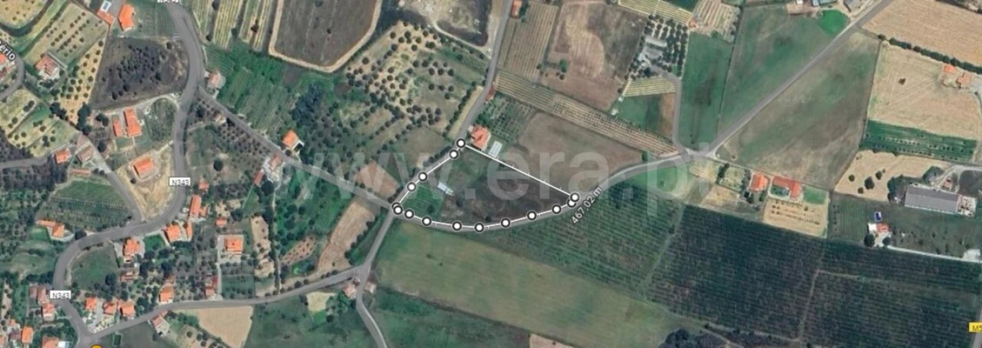 Terreno para Venda em Telhado Foto 11